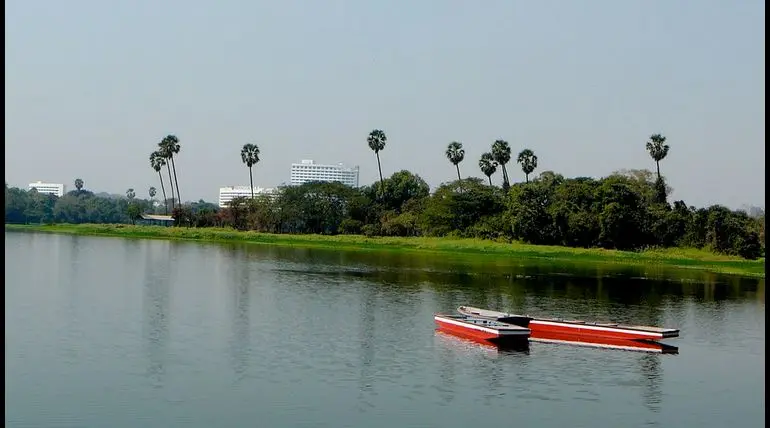 World Environment Day 2019: More Than 300 Envionmentalists to Clean up Mumbai Powai Lake