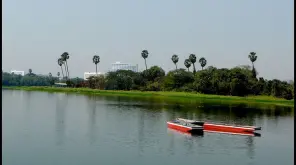 World Environment Day 2019: More Than 300 Envionmentalists to Clean up Mumbai Powai Lake