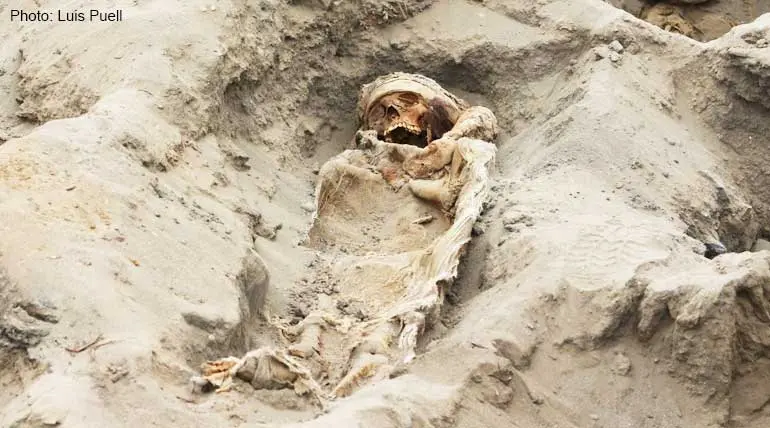 Victims of disease or sacrifice? - Experts raise doubts about 227 children buried in Peru