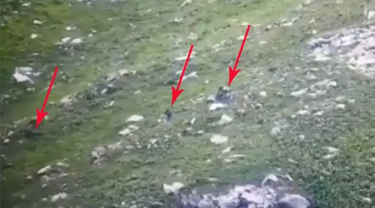 Special Video - Indian Army detected Pakistani terrorists near LoC
