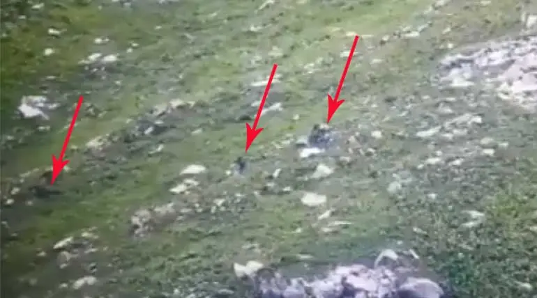 Special Video - Indian Army detected Pakistani terrorists near LoC
