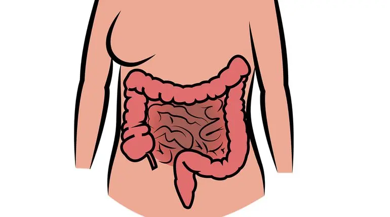 New Bacterial Species Found Causing the Bowel Cancer