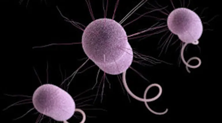 More Americans Were Killed by Superbugs than Previously thought