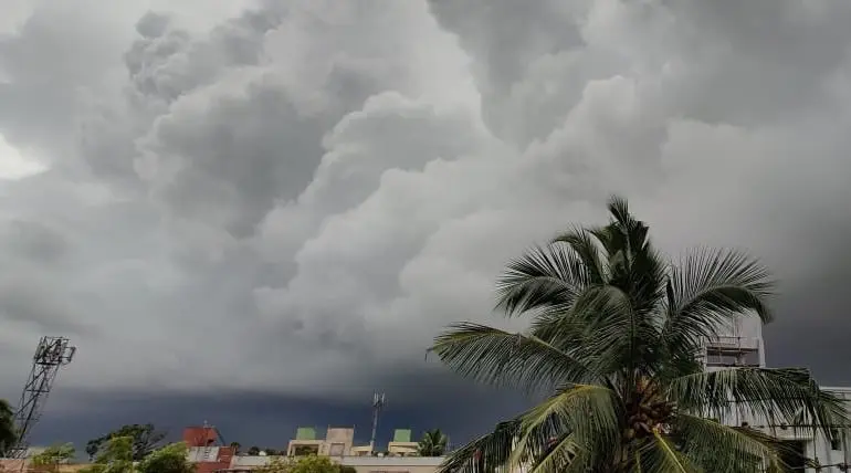 Tamil Nadu Rains: Heavy Rain warning Issued to Four Districts