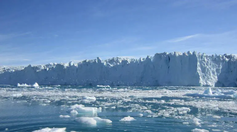 The Survival of Life on Earth During the Ice age