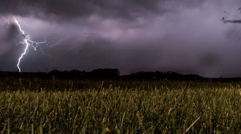Tamil Nadu Weather Forecast: Moderate Rainfall Predicted for Next 24 hours