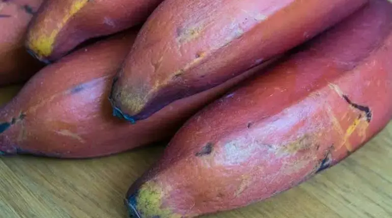 Are Red Bananas Painted Red in Tamil Nadu?