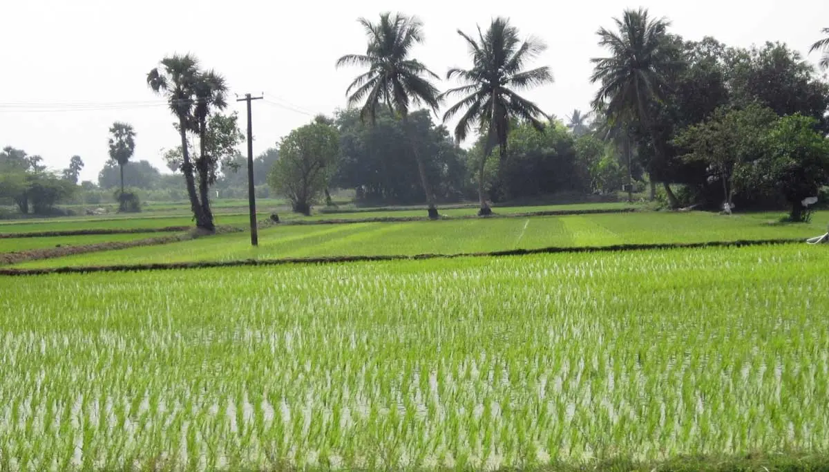 Things to know about the Act that Declared Cauvery Delta as Protected Agricultural Zone