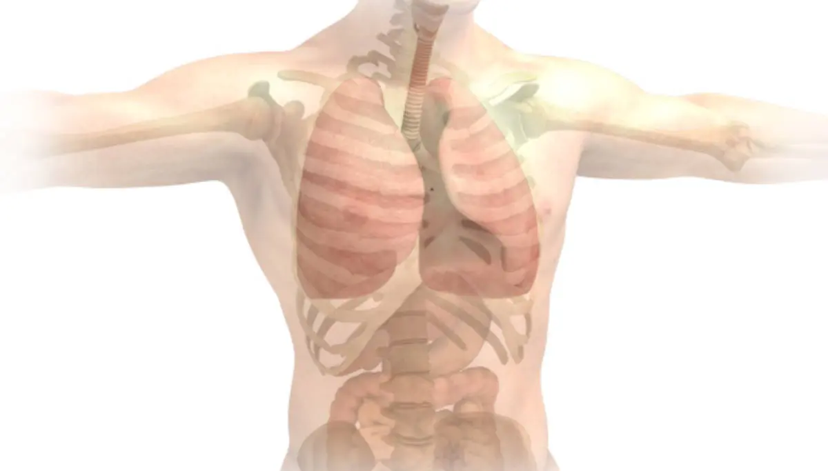 Coronavirus Reduces the Lung Function Even After the Cure