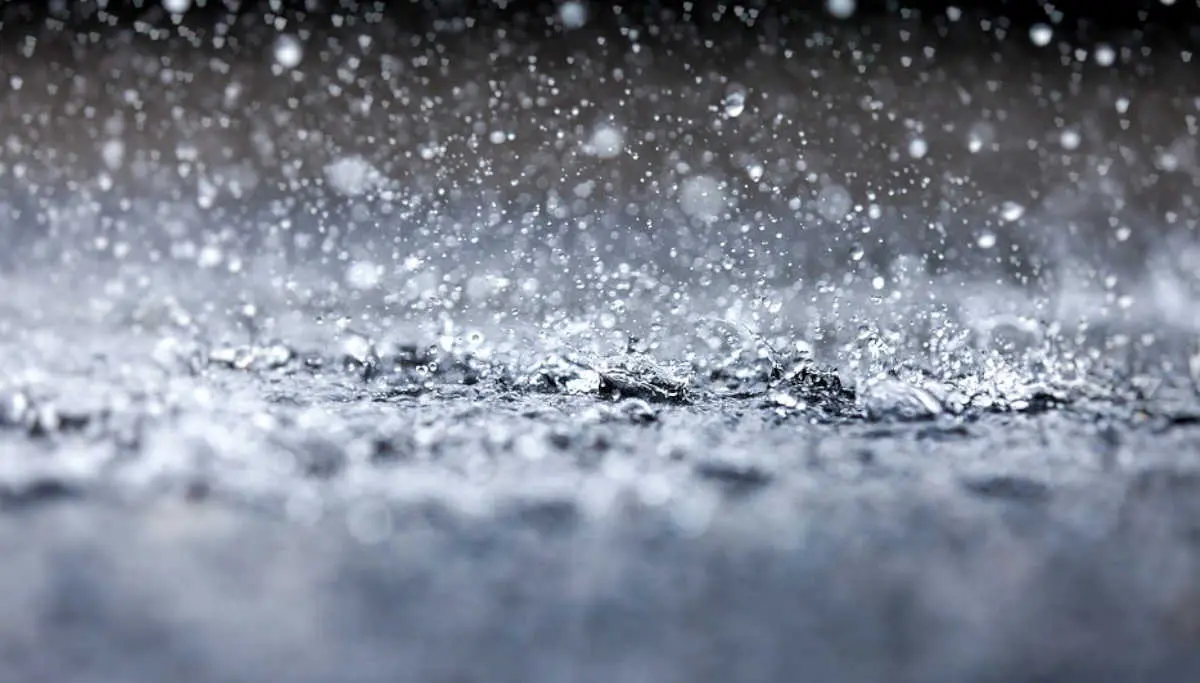 Tamil Nadu Might Get Rain in Next 24 Hours, says Chennai RMC