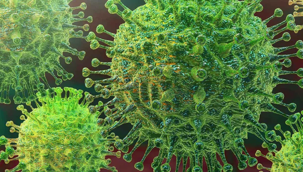 CoVid-19 is a Chimera of Two Different Viruses, Study Finds