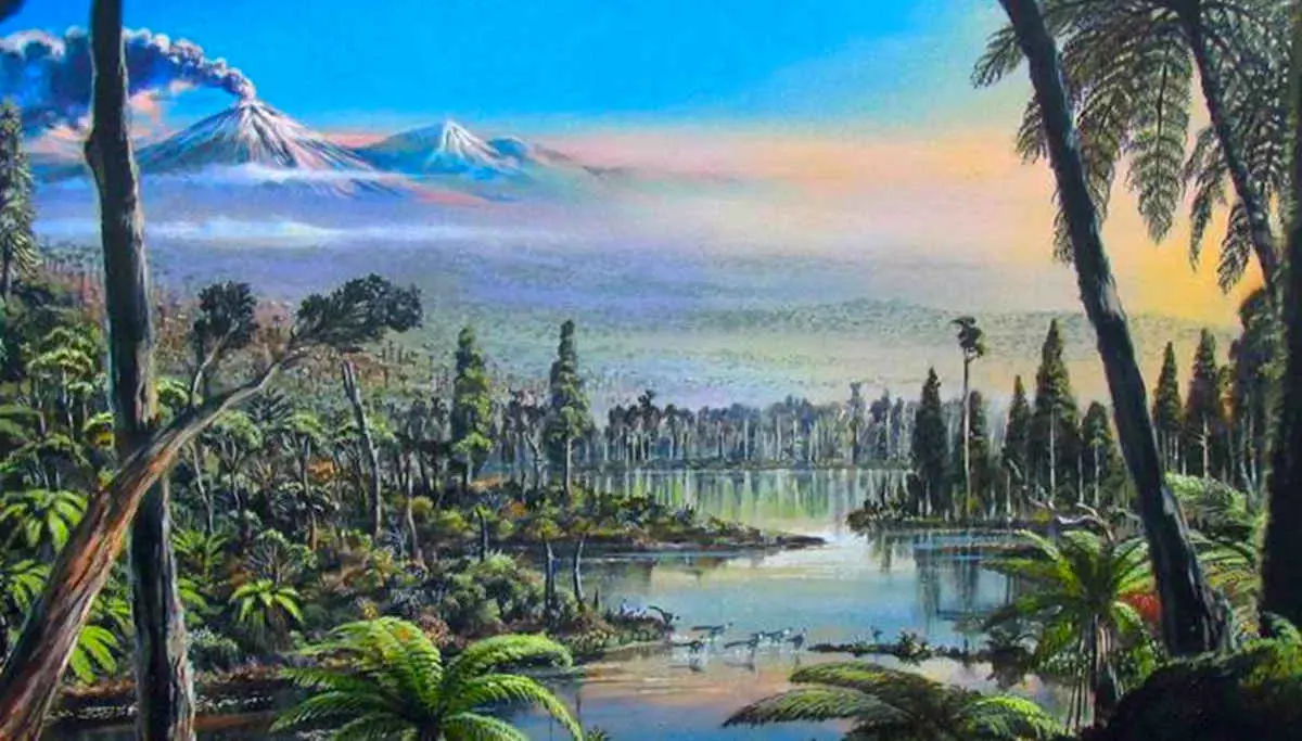 90 million years ago, Antarctica had a Rainforest