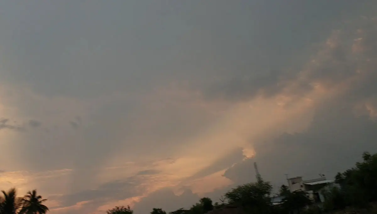 Tamil Nadu Weather News: Check if you are in the district with Rain or Hot air