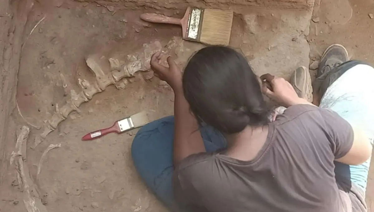 Bones of a Large Unknown Animal Unearthed at Keezhadi Archaeological Site