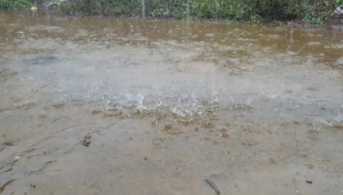 Tamil Nadu Weather Update: Check if your district will have fierce rain in the next 24 hours