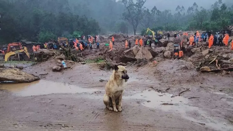 Munnar Landslide: 31 people of the same family buried in the soil and 49 dead bodies are recovered