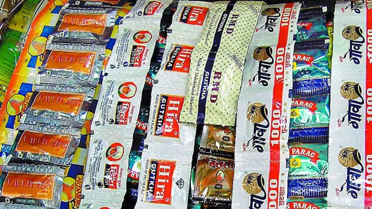 Who is behind the four crore worth properties bought selling Gutka in Cuddalore?
