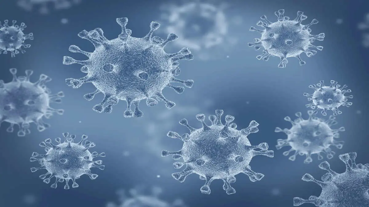 Scientists Advise on how to Reduce risk from COVID-19