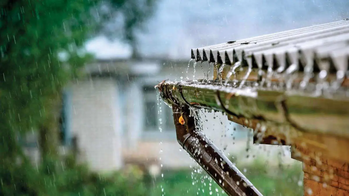 Weather Updates Today : Constant Raining for Next few days