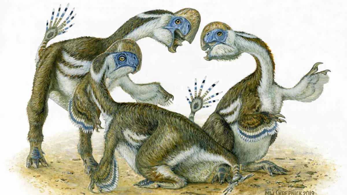 Scientists Discovered the Skeletons of a Strange Dinosaur, Resembling A Giant Parrot