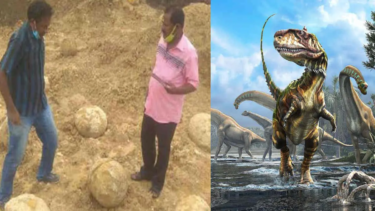 Dinosaur Eggs like Fossils Found near Perambalur District.