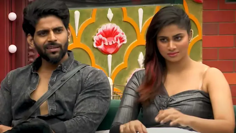Does Shivani love Balaji in Bigg Boss Tamil 4?