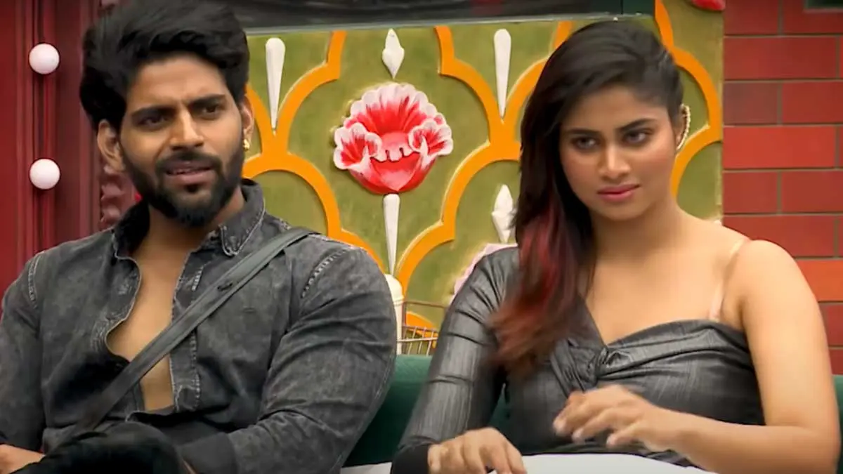 Does Shivani love Balaji in Bigg Boss Tamil 4?