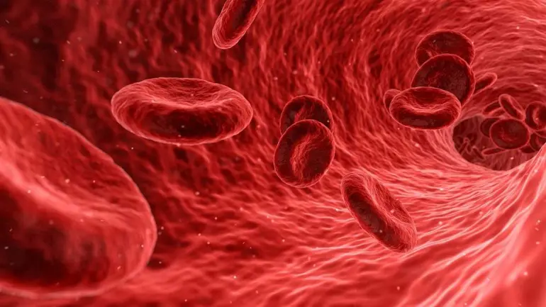 COVID Survivors Develop Longer Immunity From Serious Reinfections, New Study Claims