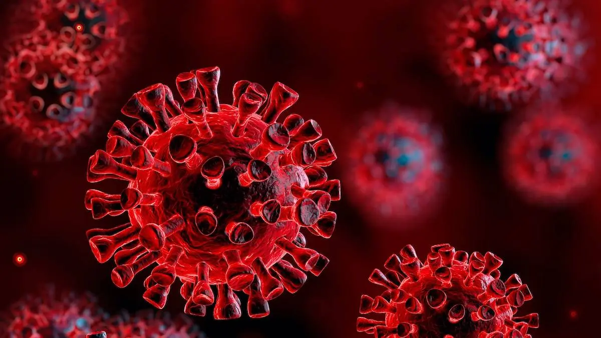 COVID 19 Updates: Increasing COVID Cases in Coimbatore