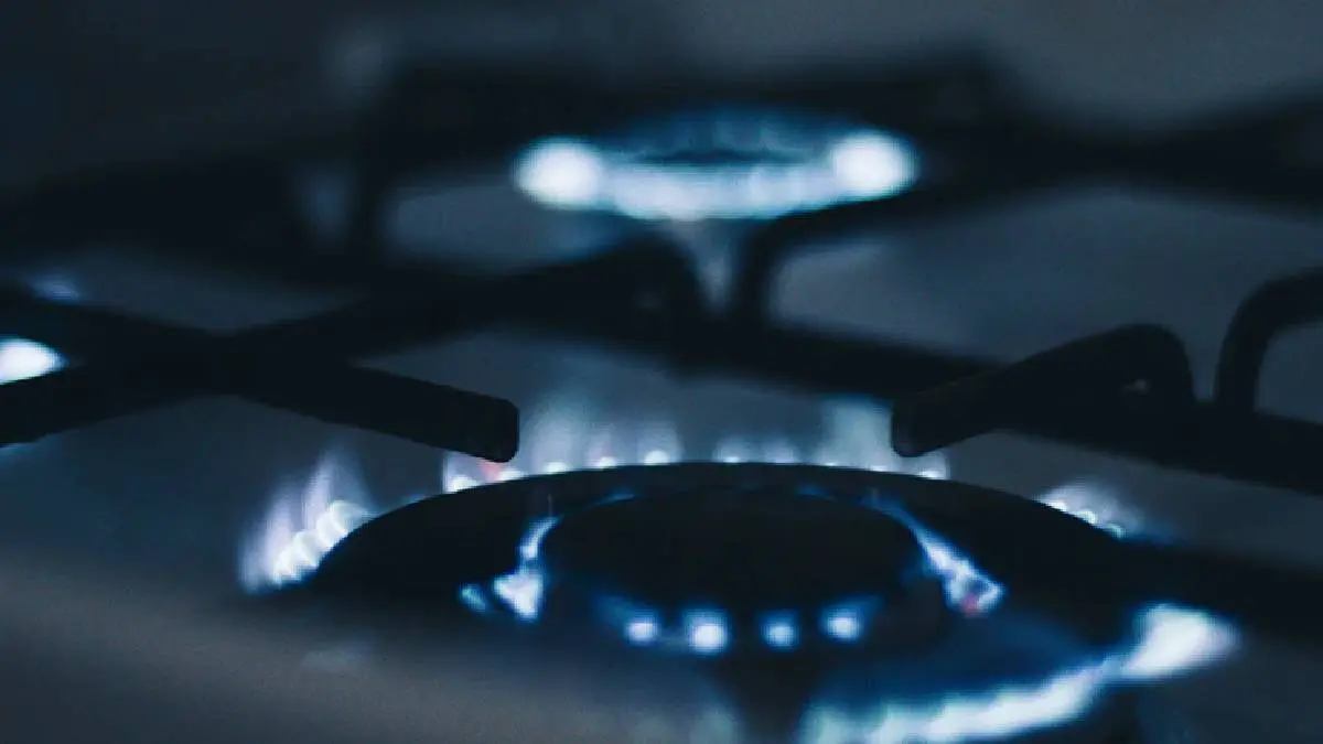 LPG Cooking Gas: Cylinder Price Increased By Rs 25 From July 1