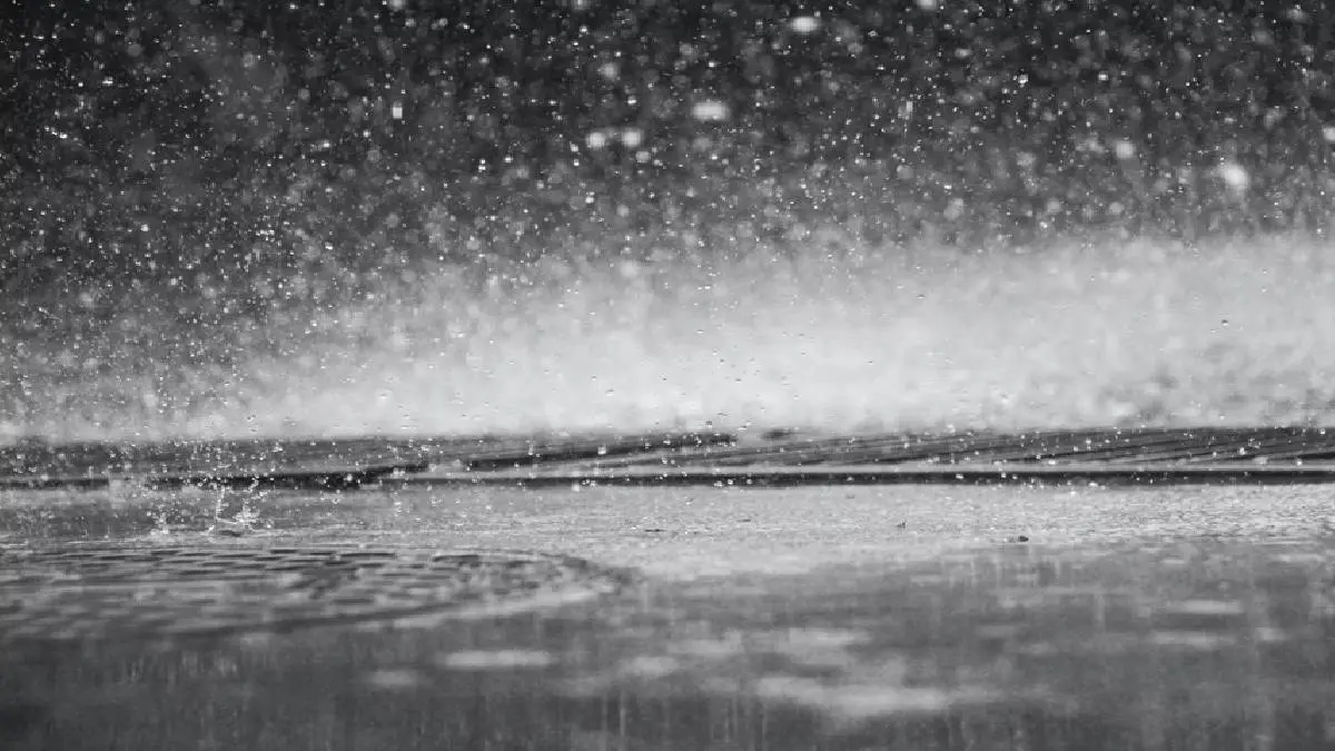 TN Rainfall: Rain Will Continue In Tamil Nadu For A Few More Days