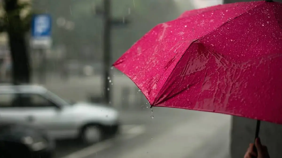 Tamil Nadu Weather Report: Heavy Rain Expected In Eight District Today