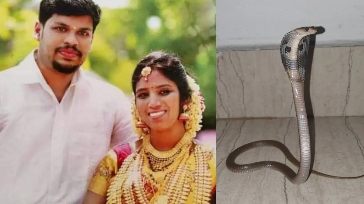 Uthra Snakebite Murder Case: Husband Sooraj Gets Double Life Sentence