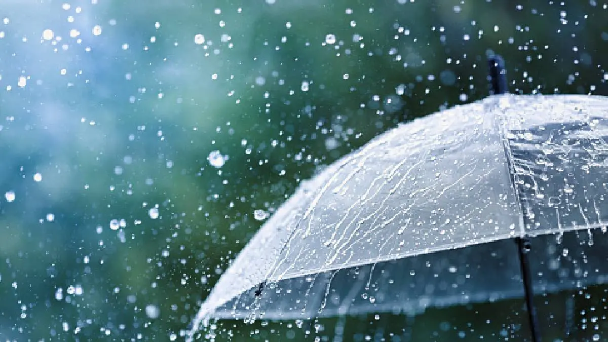Tamil Nadu Weather Report: Orange Alert Has Announced In Few Districts