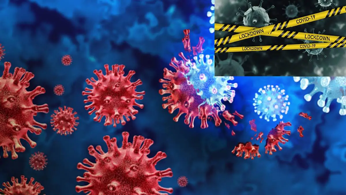 Omicron Variant: India Lockdown Again In February To Control Spread?