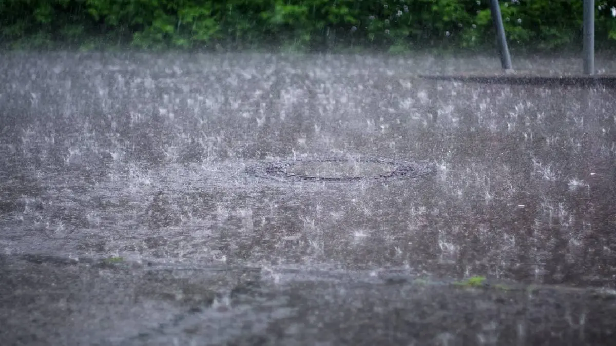 Chennai Met Department Forecast Heavy Rain On December 4 and 5