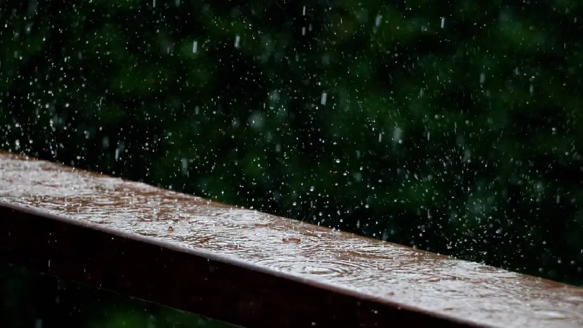 Tamil Nadu Weather Report: Heavy Rain Pours In Madurai District