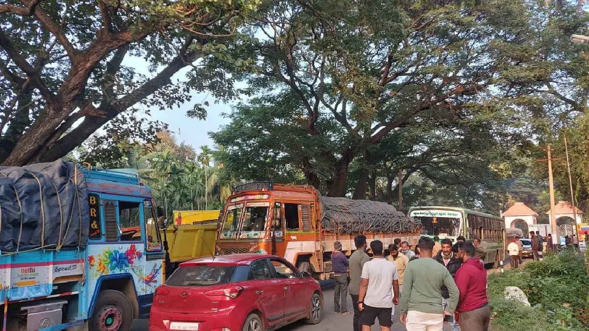 Cracks in Coonoor Mettupalayam road, Heavy Vehicles Are Restricted