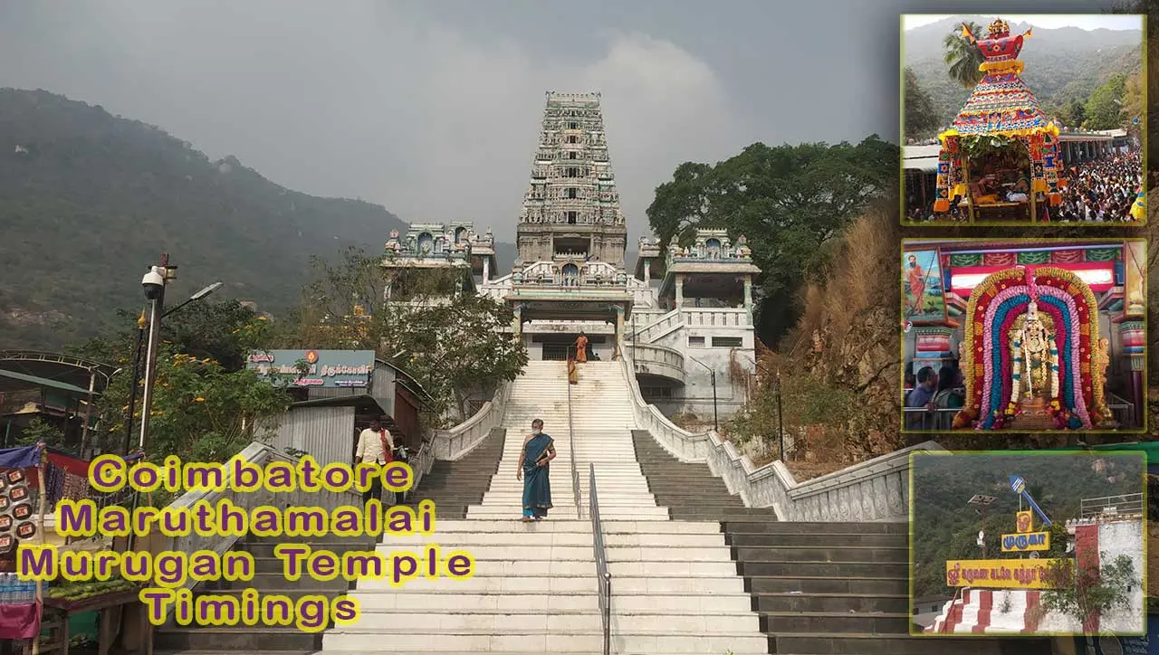 Marudhamalai Temple Timings March 2022, Pooja Timings, Entry Fee