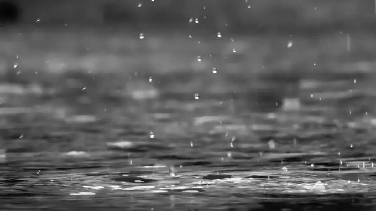 TN Weather: Chennai Meteorological Department Issued Orange Warning