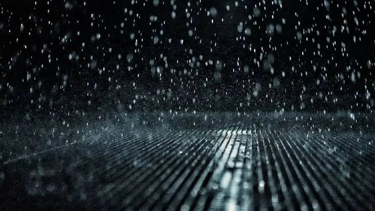 Tamil Nadu Weather Report: Heavy Rain Expected In 16 Districts