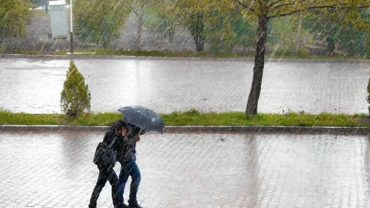 Heavy Rain Expected in More Than 9 Districts In Tamil Nadu, Met Center