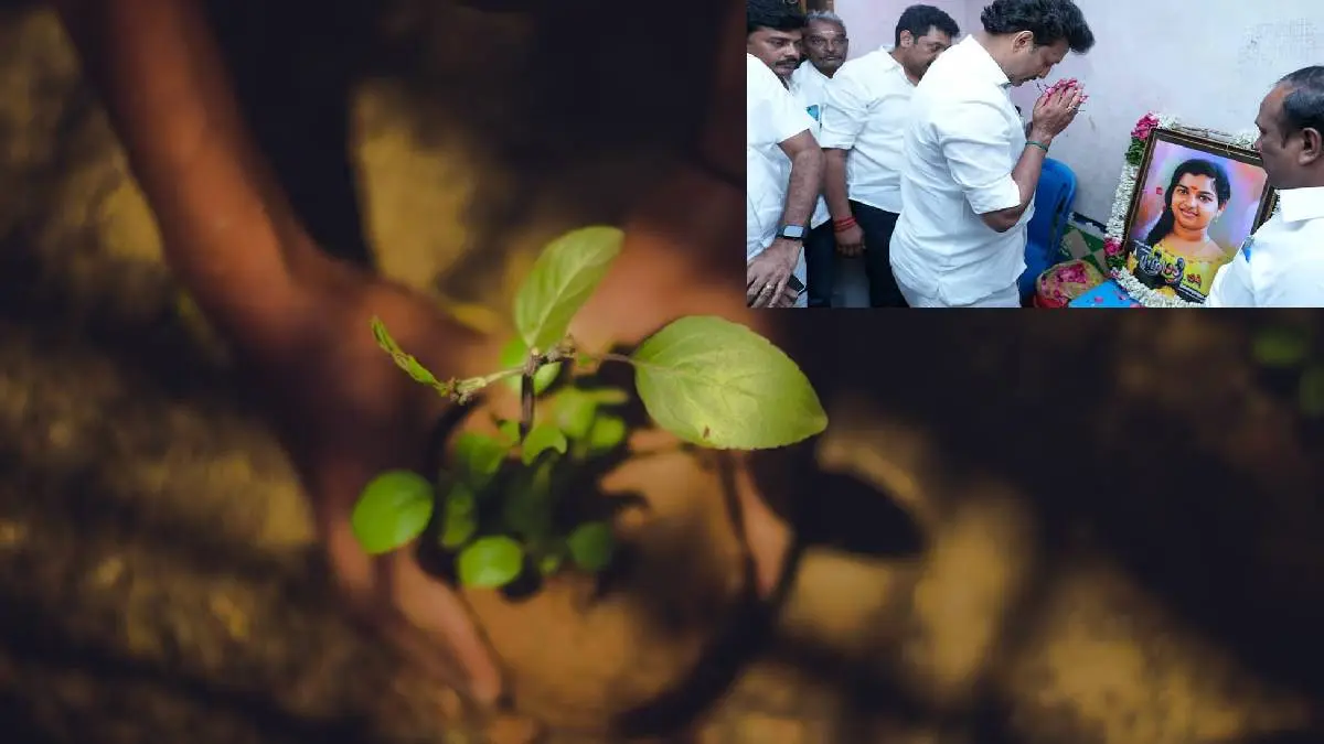 Kallakurichi Srimathi Birthday Celebrated By Planting Saplings
