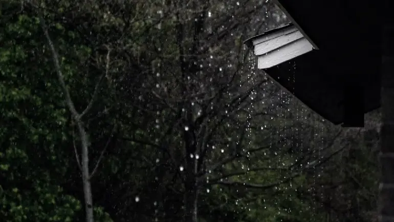 Tamil Nadu Weather Report: Heavy Rain For 5 days In Eight Districts