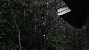 Tamil Nadu Weather Report: Heavy Rain For 5 days In Eight Districts