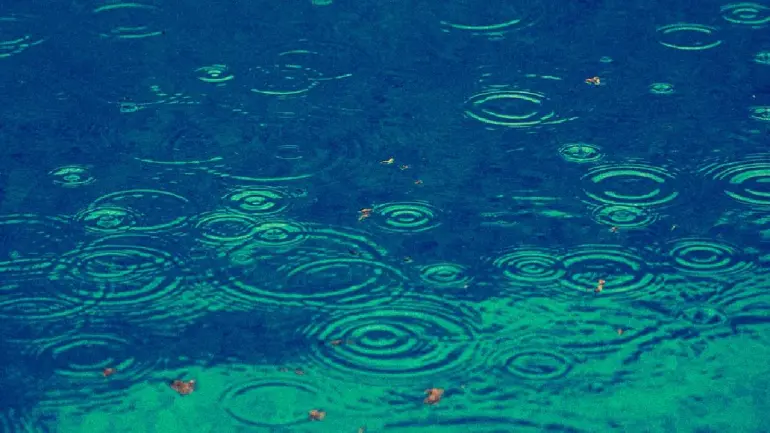 Tamil Nadu Weather: Heavy Rain Expected In Eight Districts Tonight