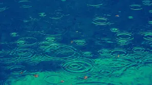 Tamil Nadu Weather: Heavy Rain Expected In Eight Districts Tonight