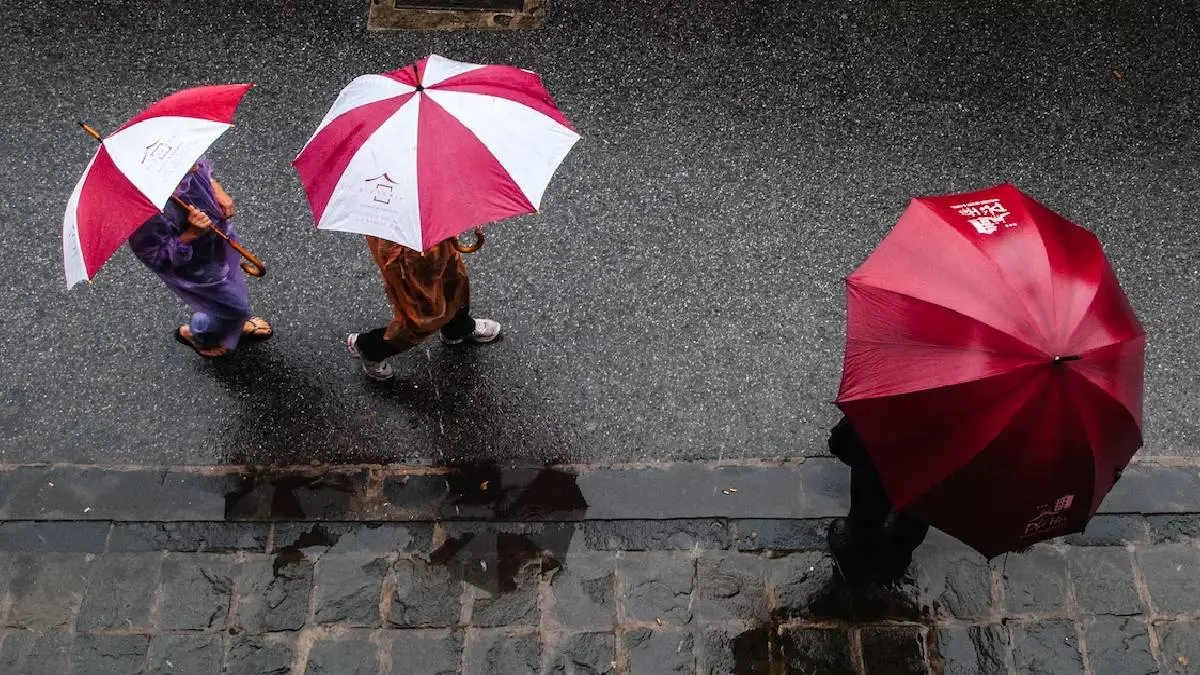 Weather Report: Heavy Rain For Next Five Days In Tamil Nadu