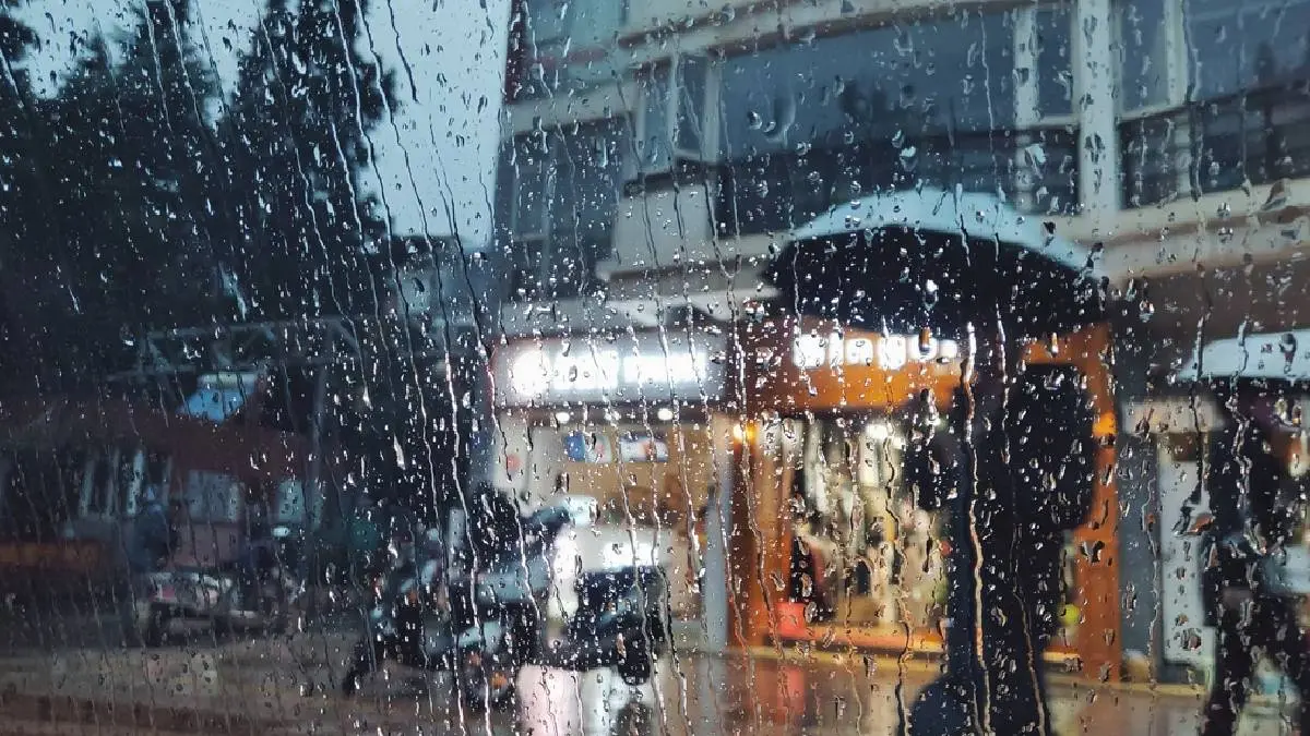 TN Weather Report: Heavy Rain Expected in The Nilgiris And Coimbatore