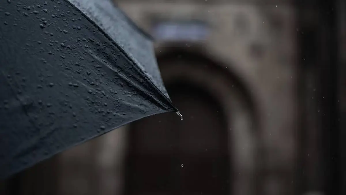 Tamil Nadu Weather Report: Heavy Rain At Tirupur, Theni and Dindigul